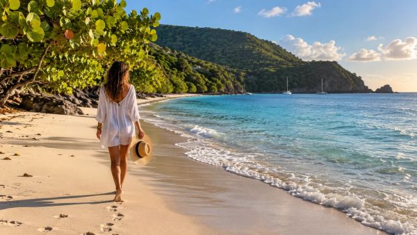 Découverte de la Guadeloupe : top conseils pour voyager